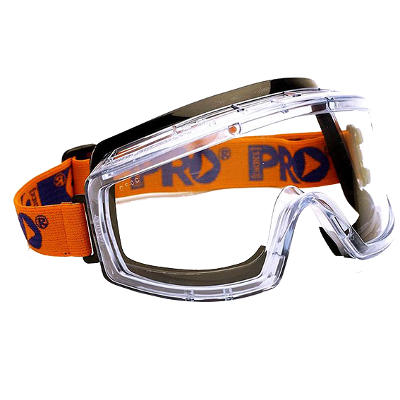 Foam Bound Goggles with Clear Lens